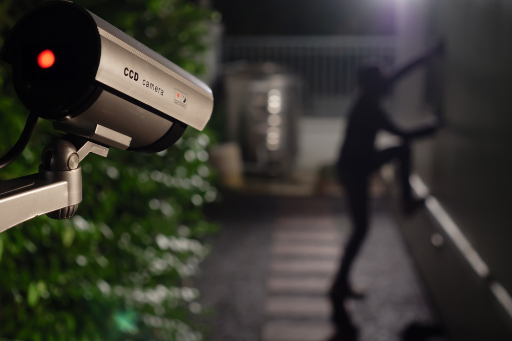 Real-Time Video Surveillance Capturing Intruder